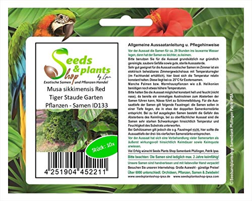 Stk - 10x Musa sikkimensis Red Tiger Staude Garten Pflanzen - Samen ID133 - Seeds & Plants Shop by Ipsa von Seeds & Plants Shop by Ipsa