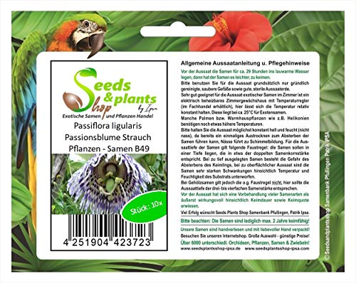 Stk - 10x Passiflora ligularis Passionsblume Strauch Pflanzen - Samen B49 - Seeds & Plants Shop by Ipsa von Seeds & Plants Shop by Ipsa
