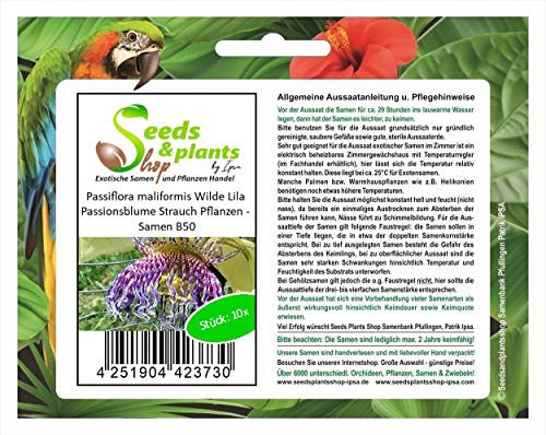 Stk - 10x Passiflora maliformis Wilde Lila Passionsblume Strauch Pflanzen - Samen B50 - Seeds & Plants Shop by Ipsa von Seeds & Plants Shop by Ipsa