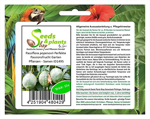 Stk - 10x Passiflora popenovii Perfekte Passionsfrucht Garten Pflanzen - Samen ID1495 - Seeds & Plants Shop by Ipsa von Seeds & Plants Shop by Ipsa