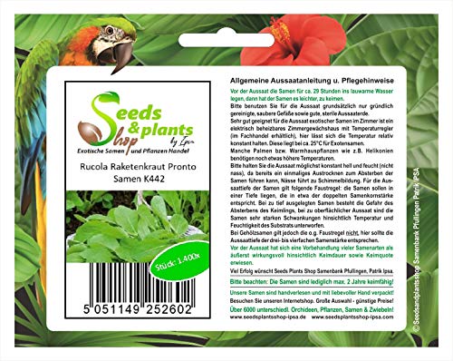 Stk - 1400x Rucola Raketenkraut Pronto Eruca sativa Gemüse Pflanzen - Samen K442 - Seeds & Plants Shop by Ipsa von Seeds & Plants Shop by Ipsa