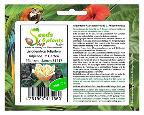 Stk - 15x Liriodendron tulipifera Tulpenbaum Garten Pflanzen - Samen B1717 - Seeds & Plants Shop by Ipsa von Seeds & Plants Shop by Ipsa