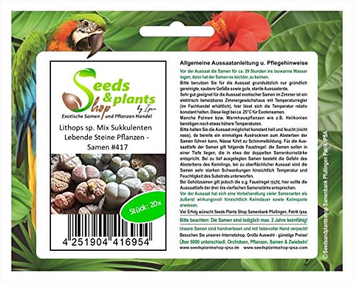 Stk - 20x Lithops sp. Mix Sukkulenten Lebende Steine Pflanzen - Samen A417 - Seeds & Plants Shop by Ipsa von Seeds & Plants Shop by Ipsa