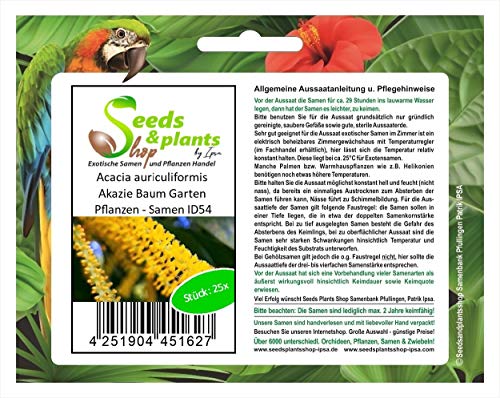 Stk - 25x Acacia auriculiformis Akazie Baum Garten Pflanzen - Samen ID54 - Seeds & Plants Shop by Ipsa von Seeds & Plants Shop by Ipsa