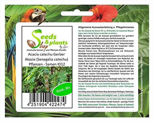 Stk - 30x Acacia catechu Gerber Akazie (Senegalia catechu) Baum Pflanzen - Samen ID12 - Seeds & Plants Shop by Ipsa von Seeds & Plants Shop by Ipsa