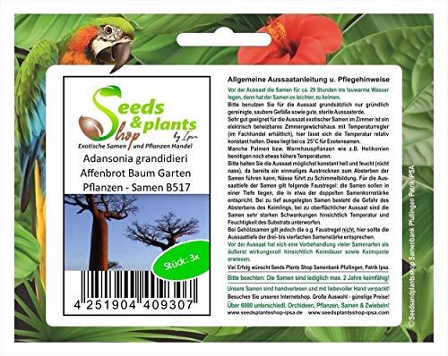 Stk - 3x Adansonia grandidieri Affenbrot Baum Garten Pflanzen - Samen B517 - Seeds & Plants Shop by Ipsa von Seeds & Plants Shop by Ipsa