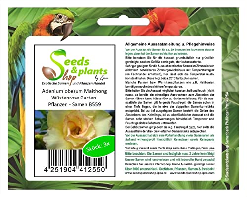 Stk - 3x Adenium obesum Maithong Wüstenrose Garten Pflanzen - Samen B559 - Seeds & Plants Shop by Ipsa von Seeds & Plants Shop by Ipsa