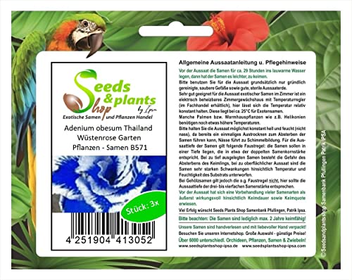 Stk - 3x Adenium obesum Thailand Wüstenrose Garten Pflanzen - Samen B571 - Seeds & Plants Shop by Ipsa von Seeds & Plants Shop by Ipsa