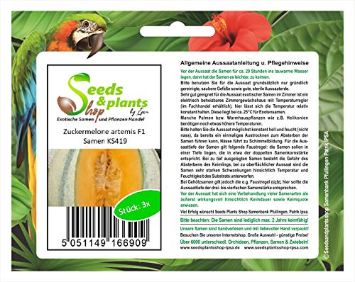 Stk - 3x Zuckermelone artemis F1 - Melone Samen Frucht Obst Pflanze Garten KS419 - Seeds & Plants Shop by Ipsa von Seeds & Plants Shop by Ipsa