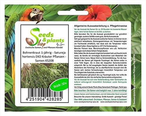 Stk - 50x Bohnenkraut 1-jährig - Satureja hortensis EKO Kräuter Pflanzen - Samen KS208 - Seeds & Plants Shop by Ipsa von Seeds & Plants Shop by Ipsa