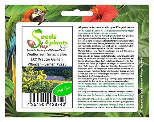 Stk - 50x Weißer Senf Sinapis alba EKO Kräuter Garten Pflanzen - Samen KS223 - Seeds & Plants Shop by Ipsa von Seeds & Plants Shop by Ipsa