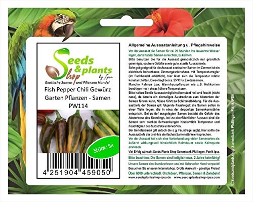 Stk - 5x Fish Pepper Chili Gewürz Garten Pflanzen - Samen PW114 - Seeds & Plants Shop by Ipsa von Seeds & Plants Shop by Ipsa