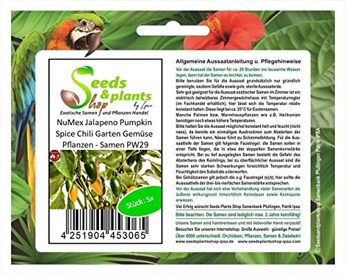 Stk - 5x NuMex Jalapeno Pumpkin Spice Chili Garten Gemüse Pflanzen - Samen PW29 - Seeds & Plants Shop by Ipsa von Seeds & Plants Shop by Ipsa