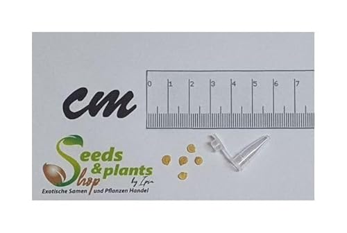 Stk - 5x Round of Hungary Chili Garten Gemüse Pflanzen - Samen PW185 - Seeds & Plants Shop by Ipsa von Seeds & Plants Shop by Ipsa