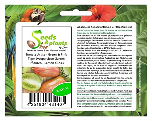 Stk - 5x Tomate Artisan Green & Pink Tiger Lycopersicon Garten Pflanzen - Samen KS233 - Seeds & Plants Shop by Ipsa von Seeds & Plants Shop by Ipsa