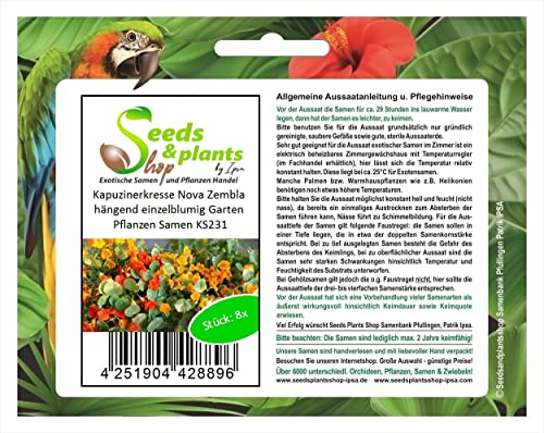 Stk - 8x Kapuzinerkresse Nova Zembla hängend einzelblumig Garten Pflanzen Samen KS231 - Seeds & Plants Shop by Ipsa von Seeds & Plants Shop by Ipsa