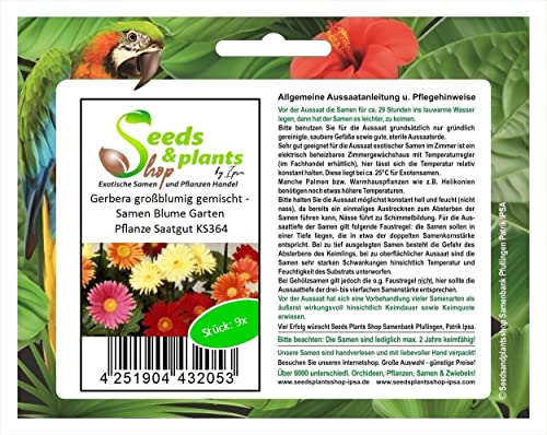 Stk - 9x Gerbera großblumig gemischt - Samen Blume Garten Pflanze Saatgut KS364 - Seeds & Plants Shop by Ipsa von Seeds & Plants Shop by Ipsa