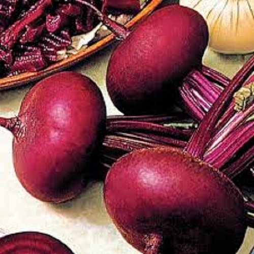 Saatgut PIATTA D'EGITTO BEET Italienisches Heirloom Beta Vulgaris Cicla Gemüsesamen, 250 Stück von Seedville