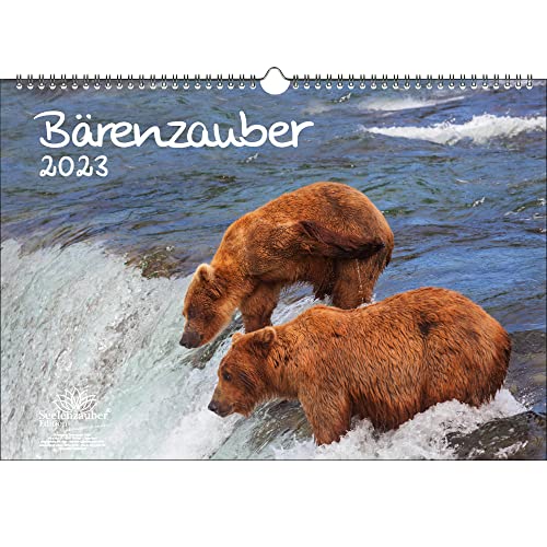 Bärenzauber DIN A3 Kalender für 2023 Bären - Seelenzauber, mehrfarbig, KN2023-3W-0029-D-0 von Seelenzauber