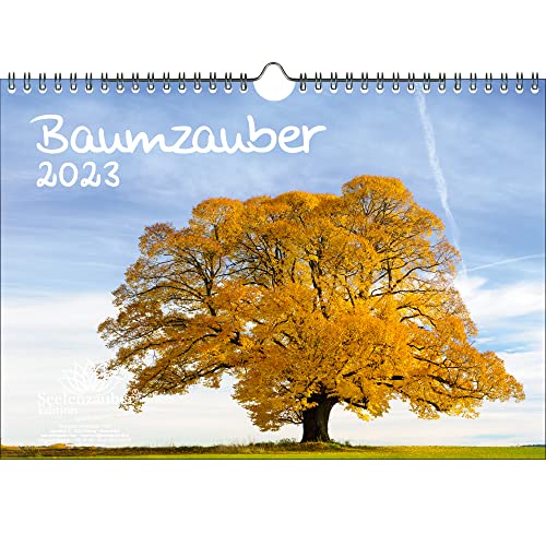 Baumzauber DIN A4 Kalender für 2023 Baum, Bäume und Wald - Seelenzauber von Seelenzauber