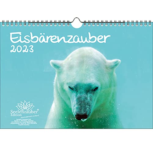 Eisbärenzauber DIN A4 Kalender für 2023 Eisbär - Seelenzauber von Seelenzauber