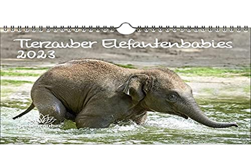 Elefantenzauber Babys DIN A4 Kalender für 2023 Elefanten - Seelenzauber, KN2023-4W-0098-D-0, mehrfarbig von Seelenzauber