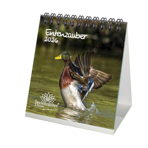 Entenzauber Tischkalender 10cm x 10cm für 2026 Enten - Geschenkset Inhalt: 1x Kalender, 1x Weihnachtsanhänger (insgesamt 2 Teile) von Seelenzauber