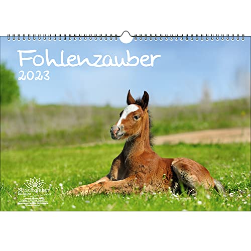 Fohlenzauber DIN A3 Kalender für 2023 Pferde und Fohlen - Seelenzauber, KN2023-3W-0015-D-0 von Seelenzauber
