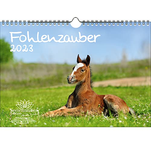 Fohlenzauber DIN A4 Kalender für 2023 Pferde und Fohlen - Seelenzauber von Seelenzauber