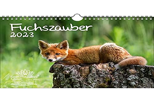 Fuchszauber DIN A4 Kalender für 2023 Fuchs und Füchse - Seelenzauber, mehrfarbig, KN2023-4W-0032-D-0 von Seelenzauber