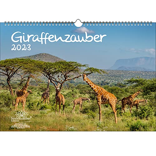 Giraffenzauber DIN A3 Kalender für 2023 Giraffen - Seelenzauber von Seelenzauber