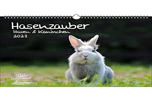 Hasenzauber Hasen und Kaninchen DIN A3 Kalender für 2023 - Seelenzauber, mehrfarbig, KN2023-3W-0027-D-0 von Seelenzauber