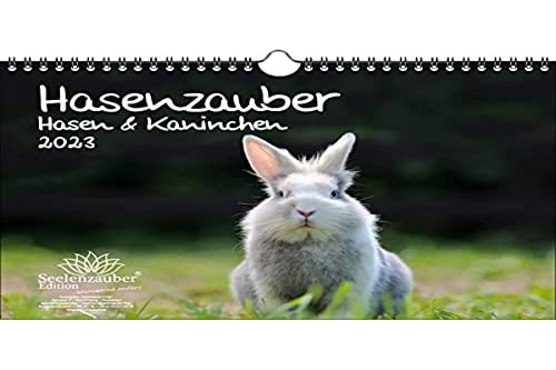 Hasenzauber Hasen und Kaninchen DIN A4 Kalender für 2023 - Seelenzauber, mehrfarbig, KN2023-4W-0027-D-0 von Seelenzauber