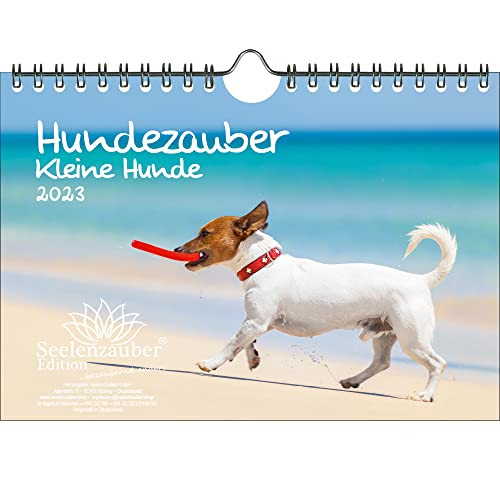 Hundezauber Kleine Hunde DIN A5 Wandkalender für 2023 Welpen und kleine Hunde - Seelenzauber von Seelenzauber