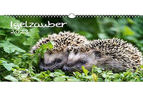 Igelzauber DIN A3 Kalender für 2023 Igel - Seelenzauber von Seelenzauber