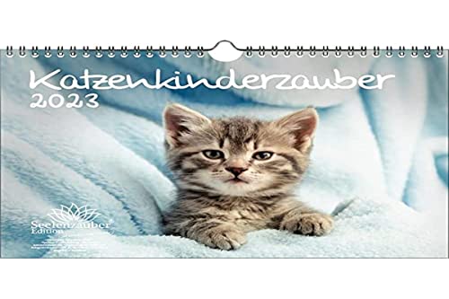 Katzenkinderzauber DIN A4 Kalender für 2023 Katzenkinder Katzenbabys - Seelenzauber, mehrfarbig, KN2023-4W-0008-D-0 von Seelenzauber