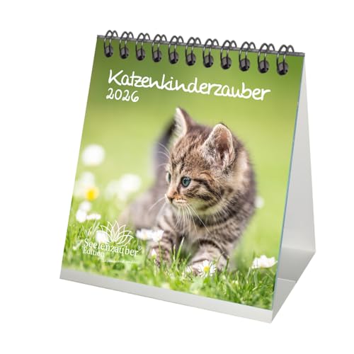 Katzenkinderzauber Tischkalender 10cm x 10cm für 2026 Katzenkinder Katzenbabys - Geschenkset Inhalt: 1x Kalender, 1x Weihnachtsanhänger (insgesamt 2 Teile) von Seelenzauber