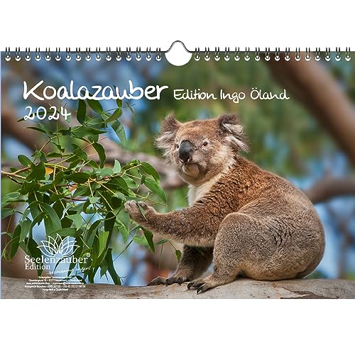 Koalazauber - Edition Ingo Öland - Edition Ingo Öland DIN A4 Kalender für 2024 Koalabären, Koala - Seelenzauber von Seelenzauber