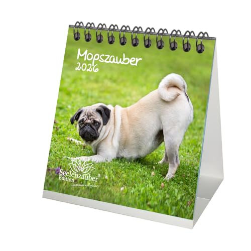 Mopszauber Tischkalender 10cm x 10cm für 2026 Mops Hunde und Welpen - Seelenzauber Mopszauber Tischkalender 10cm x 10cm für 2026 Mops Hunde und Welpen - Seelenzauber von Seelenzauber