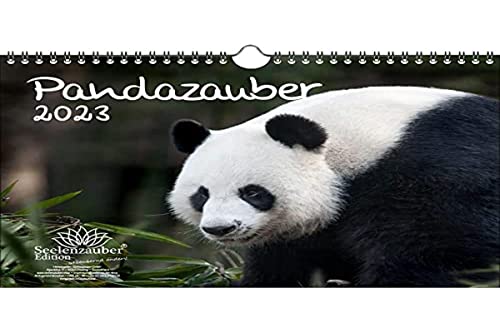 Pandazauber DIN A4 Kalender für 2023 Panda - Seelenzauber von Seelenzauber