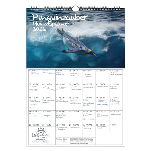 Pinguinzauber Planer DIN A3 Kalender für 2026 Pinguin - Seelenzauber Pinguinzauber Planer DIN A3 Kalender für 2026 Pinguin - Seelenzauber von Seelenzauber