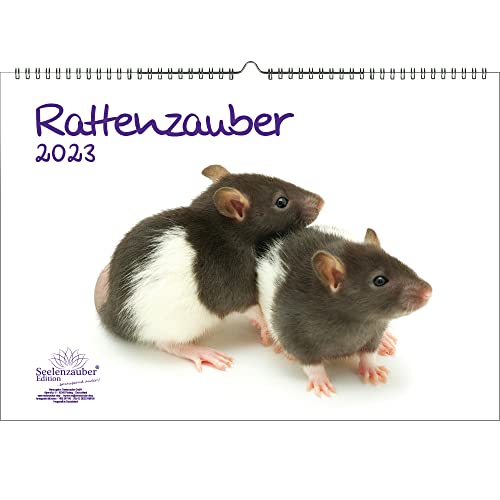 Rattenzauber DIN A3 Kalender für 2023 Ratten - Seelenzauber von Seelenzauber