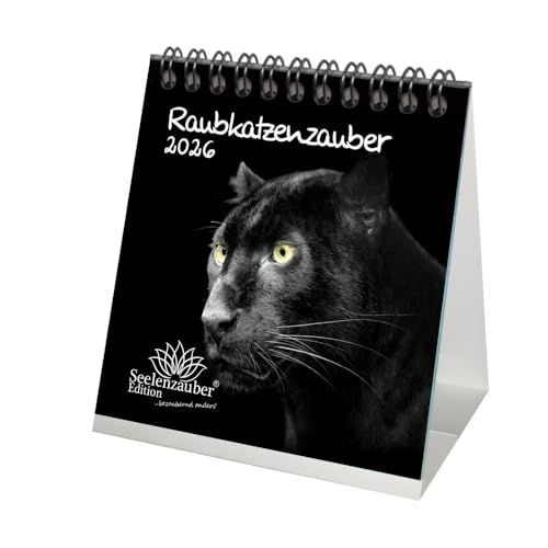 Raubkatzenzauber Tischkalender 10cm x 10cm für 2026 verschiedene Raubkatzen - Geschenkset Inhalt: 1x Kalender, 1x Weihnachtsanhänger (insgesamt 2 Teile) von Seelenzauber