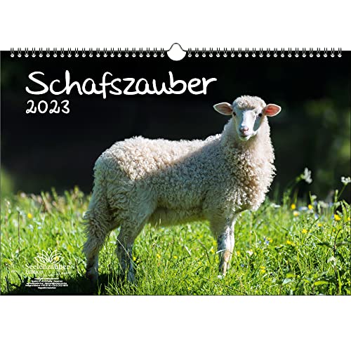 Schafszauber DIN A3 Kalender für 2023 Schafe und Lämmchen - Seelenzauber, mehrfarbig, KN2023-3W-0047-D-0 von Seelenzauber