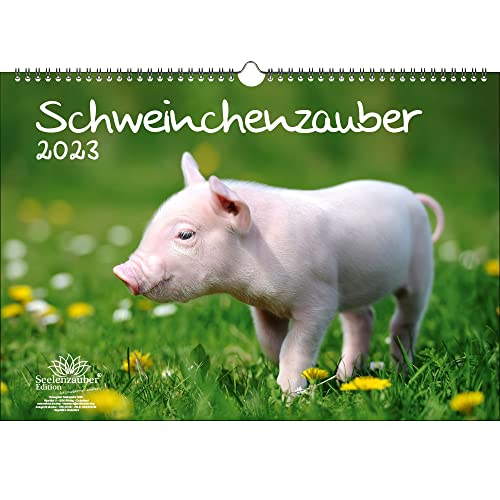 Schweinchenzauber DIN A3 Kalender für 2023 Schweinchen - Seelenzauber, mehrfarbig, KN2023-3W-0049-D-0 von Seelenzauber