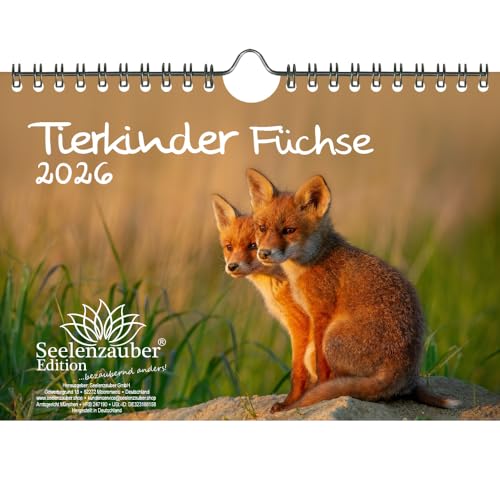 Tierkinder Füchse DIN A5 Kalender für 2026 Fuchs und Füchse - Geschenkset Inhalt: 1x Kalender, 1x Weihnachtsanhänger (insgesamt 2 Teile) von Seelenzauber