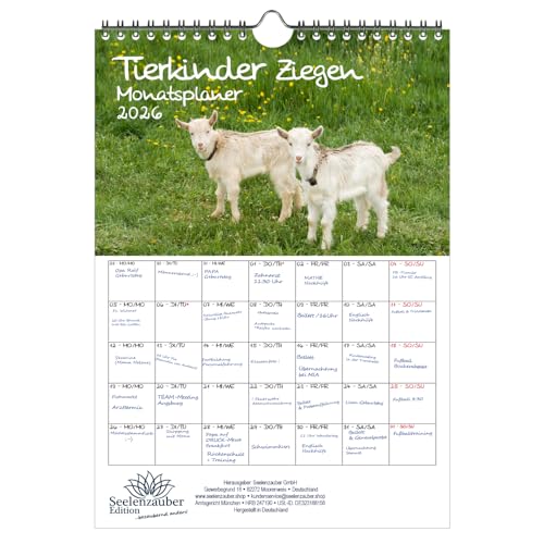 Tierkinder Ziegen Planer DIN A4 Kalender für 2026 Ziegen und Zicklein - Seelenzauber Tierkinder Ziegen Planer DIN A4 Kalender für 2026 Ziegen und Zicklein - Seelenzauber von Seelenzauber
