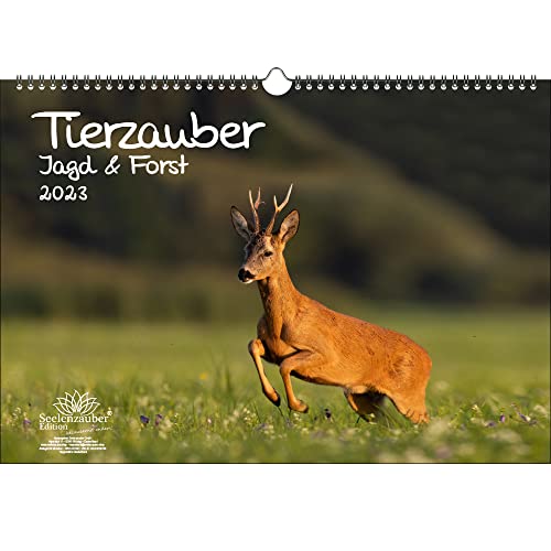 Tierzauber Jagd & Forst DIN A3 Kalender für 2023 - Seelenzauber von Seelenzauber