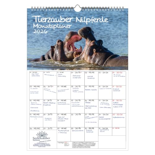 Tierzauber Nilpferde Planer DIN A3 Kalender für 2026 Afrika Flusspferde - Seelenzauber Tierzauber Nilpferde Planer DIN A3 Kalender für 2026 Afrika Flusspferde - Seelenzauber von Seelenzauber