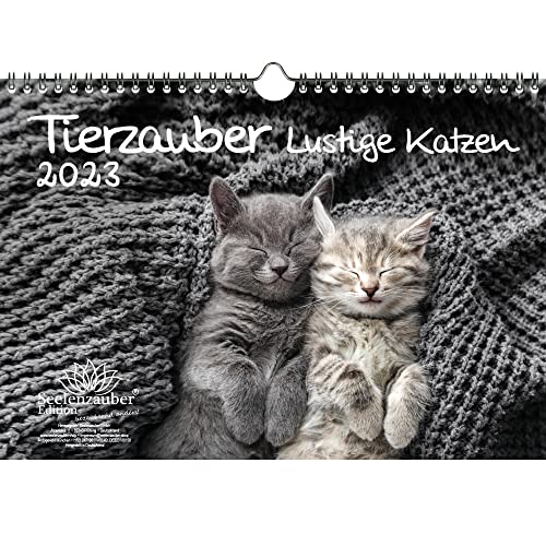 Tierzauber lustige Katzen DIN A4 Kalender für 2023 Lustige Momente mit Katzen - Seelenzauber, mehrfarbig, KN2023-4W-0046-D-0 von Seelenzauber